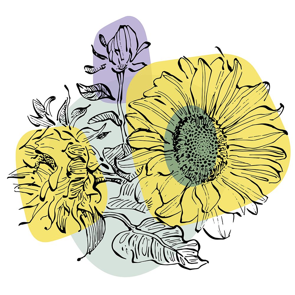 Sunflower minimal art art print by AcantStudio for $57.95 CAD