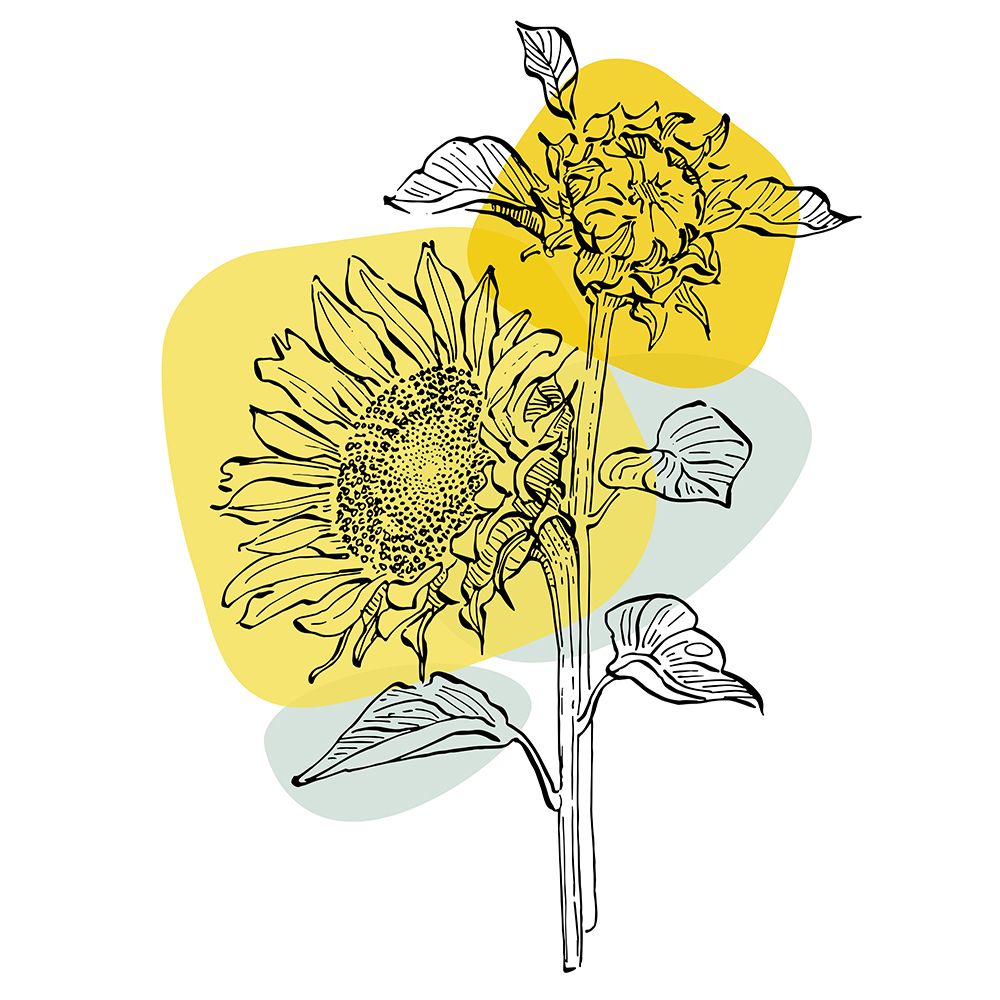 Sunflower minimal art art print by AcantStudio for $57.95 CAD
