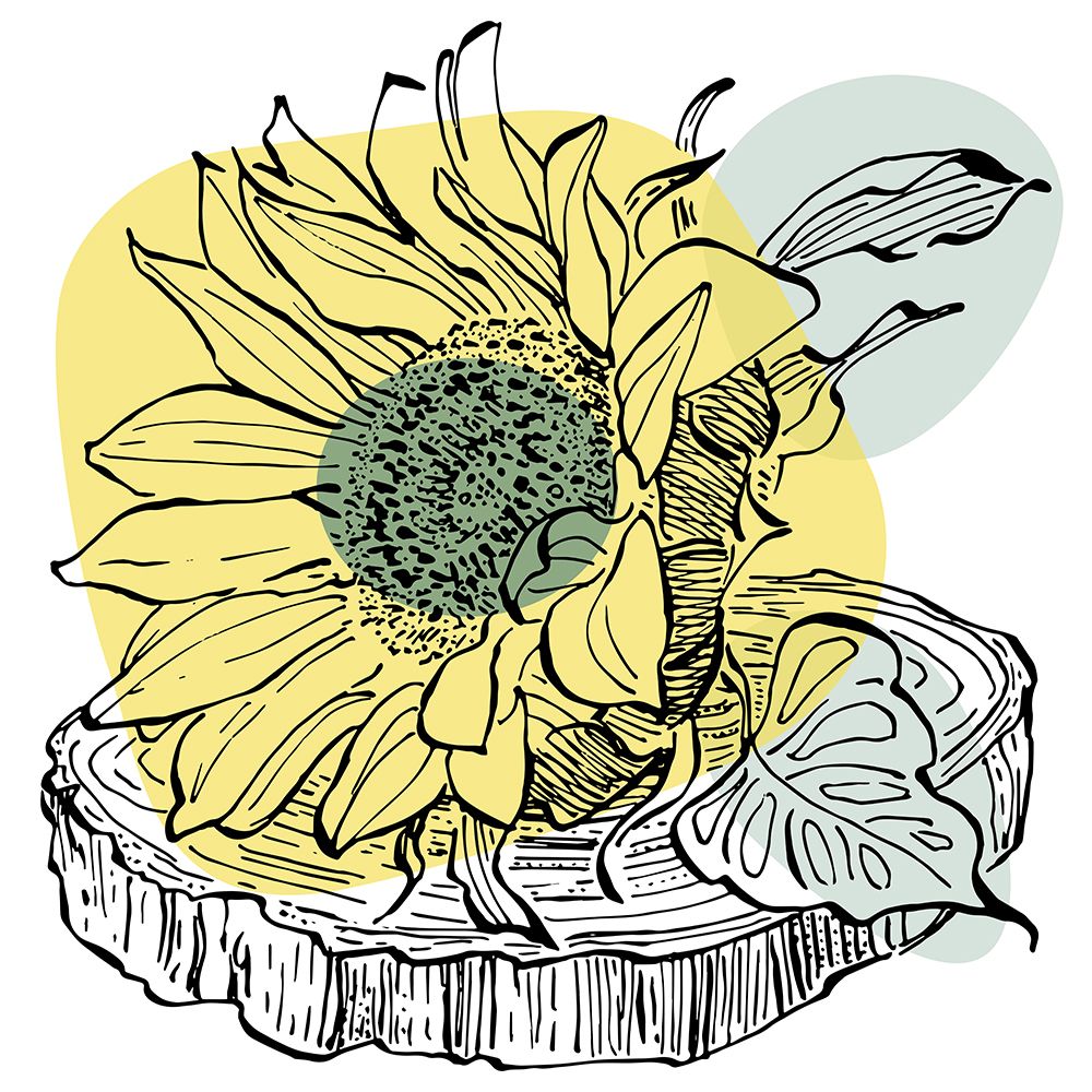 Sunflower minimal art art print by AcantStudio for $57.95 CAD