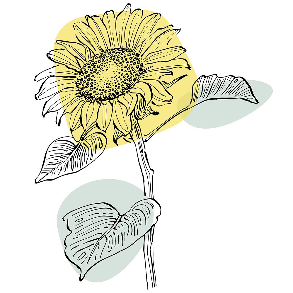 Sunflower minimal art art print by AcantStudio for $57.95 CAD