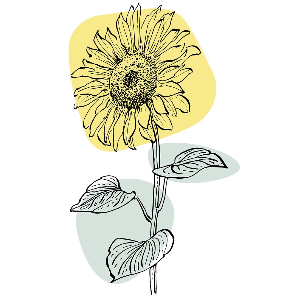 Sunflower minimal art art print by AcantStudio for $57.95 CAD