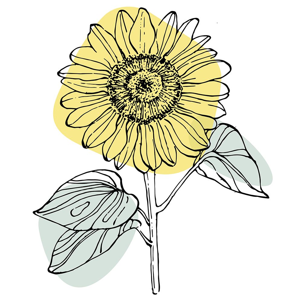 Sunflower minimal art art print by AcantStudio for $57.95 CAD