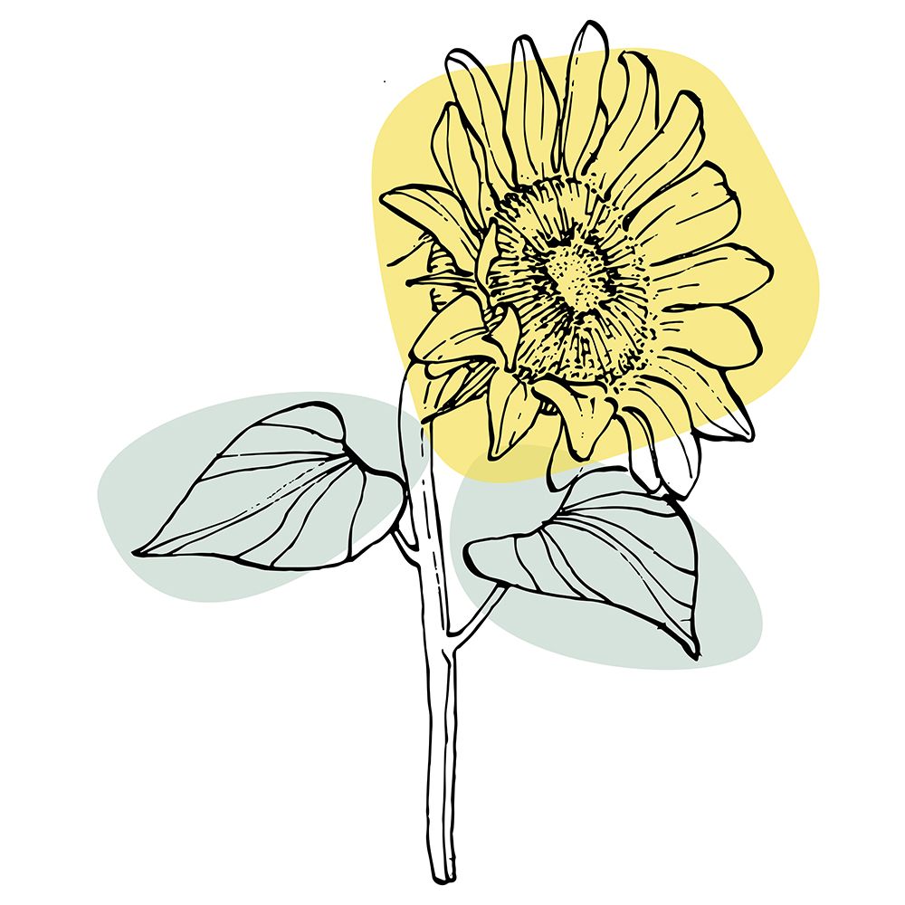 Sunflower minimal art art print by AcantStudio for $57.95 CAD