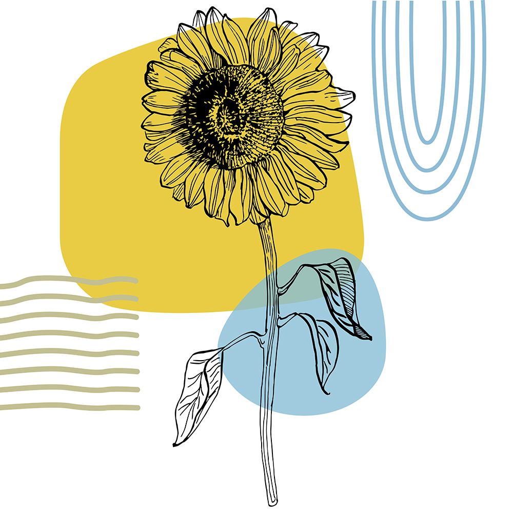 Sunflower minimal art art print by AcantStudio for $57.95 CAD