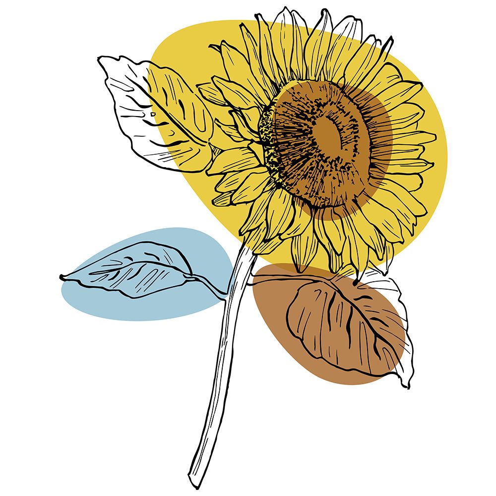 Sunflower minimal art art print by AcantStudio for $57.95 CAD