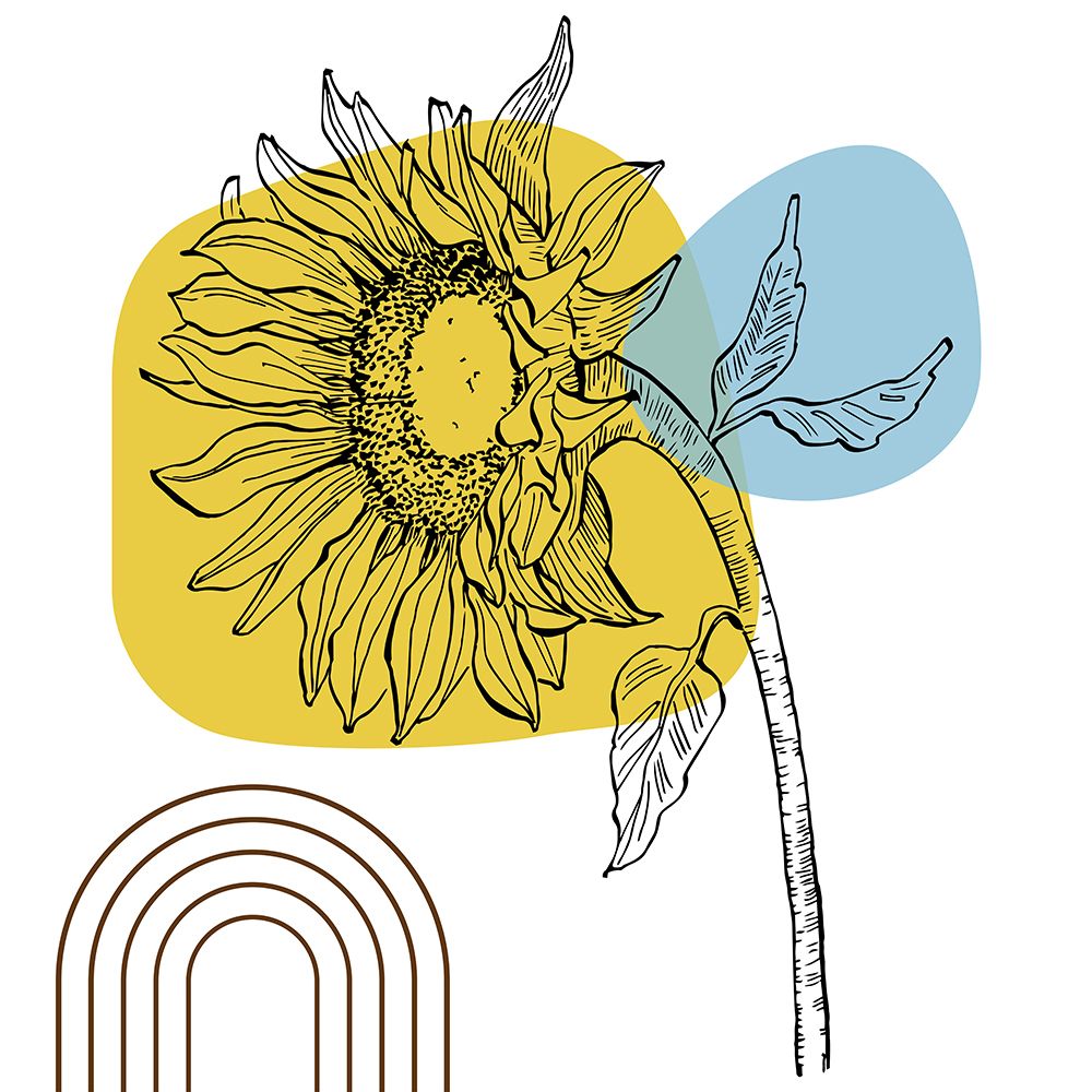 Sunflower minimal art art print by AcantStudio for $57.95 CAD