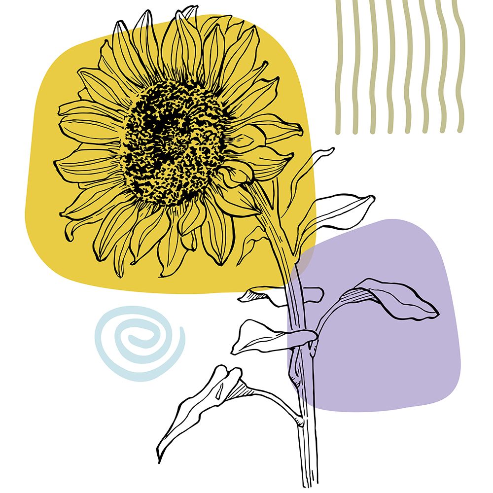 Sunflower minimal art art print by AcantStudio for $57.95 CAD