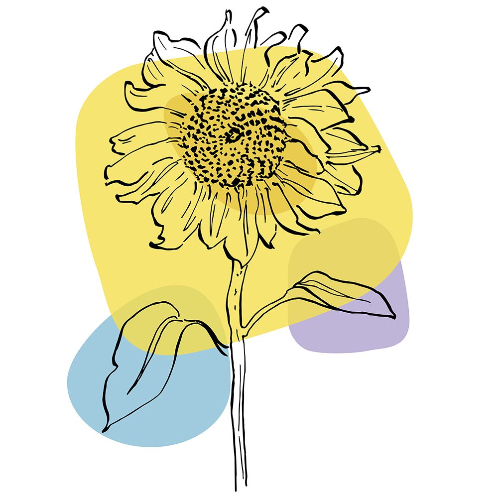 Sunflower minimal art art print by AcantStudio for $57.95 CAD