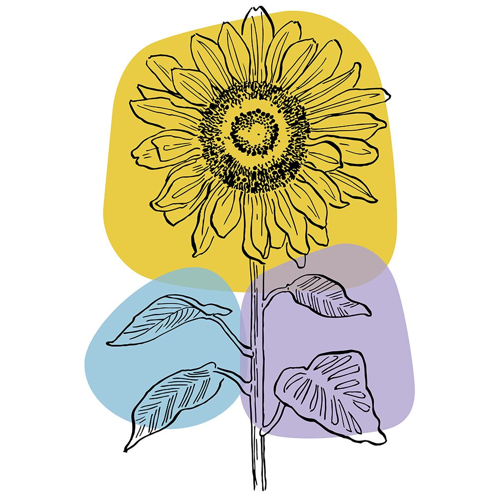 Sunflower minimal art art print by AcantStudio for $57.95 CAD