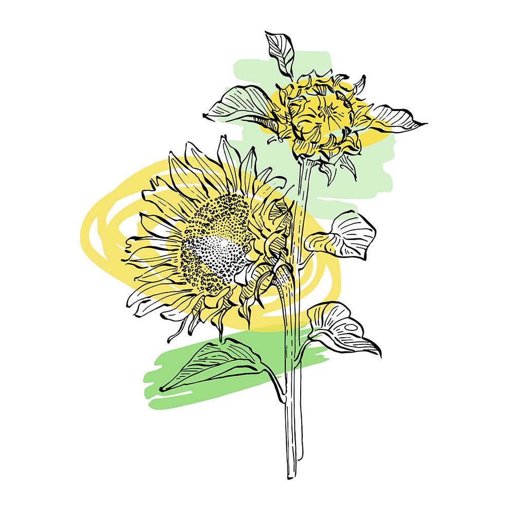 Sunflower minimal art art print by AcantStudio for $57.95 CAD