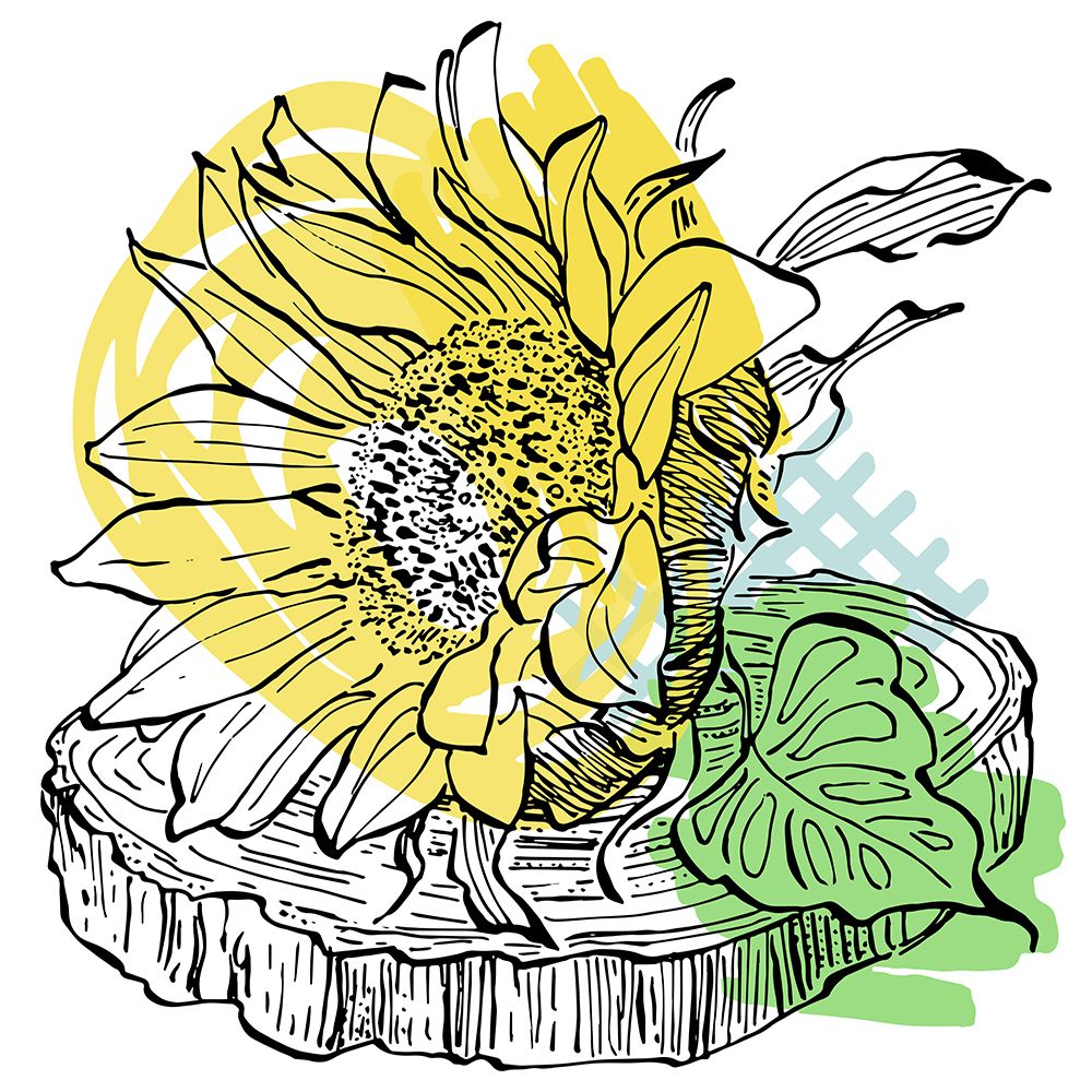 Sunflower minimal art art print by AcantStudio for $57.95 CAD
