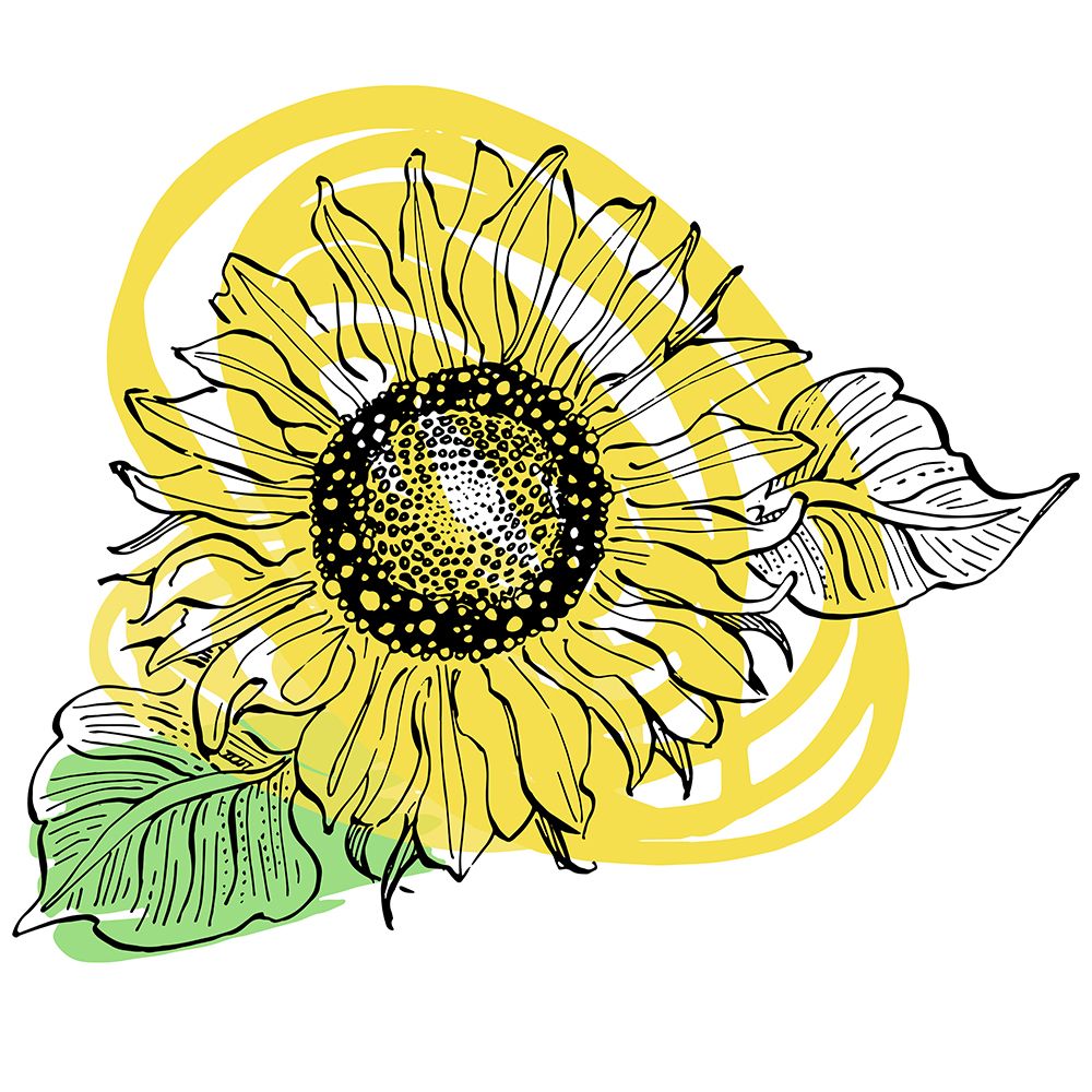 Sunflower minimal art art print by AcantStudio for $57.95 CAD
