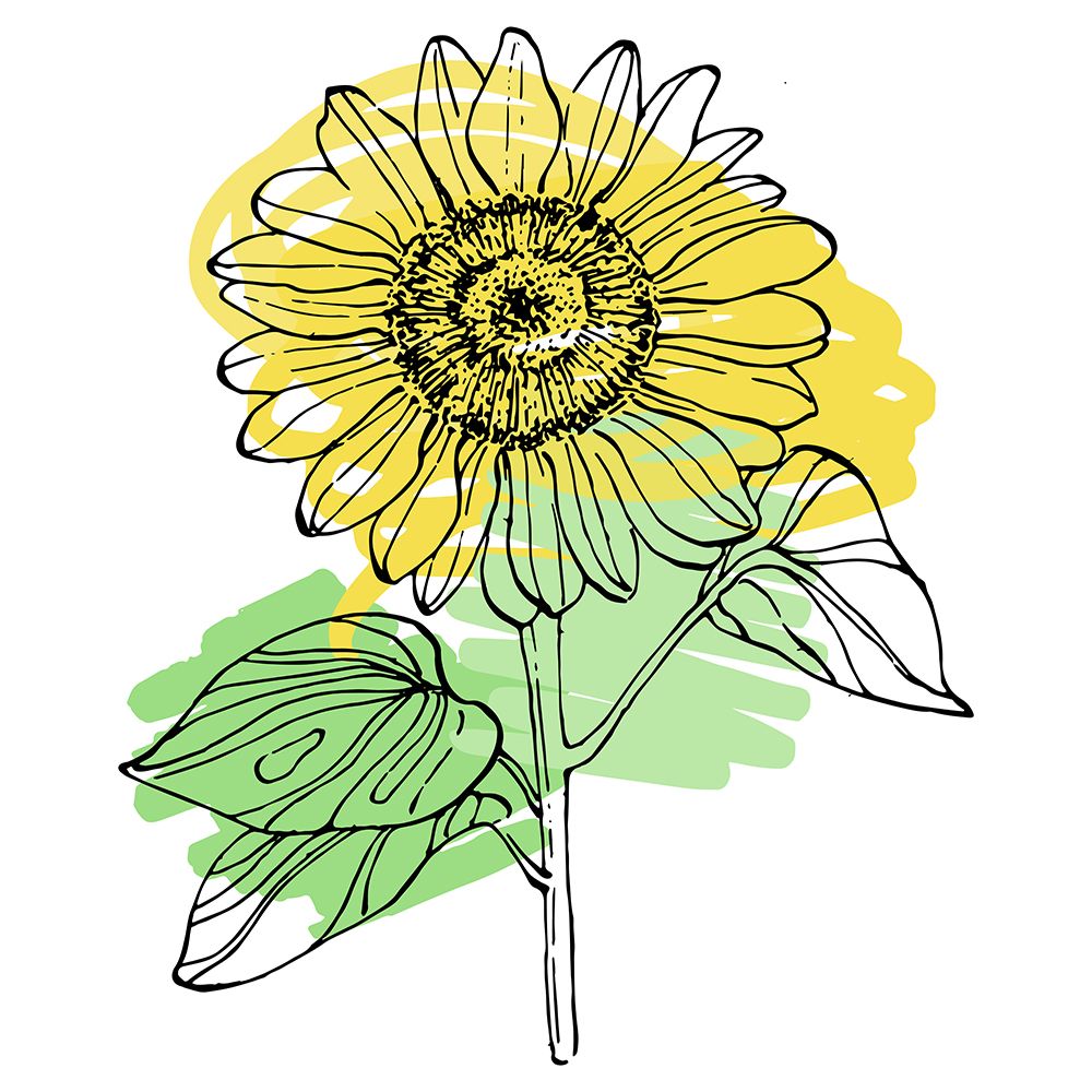 Sunflower minimal art art print by AcantStudio for $57.95 CAD
