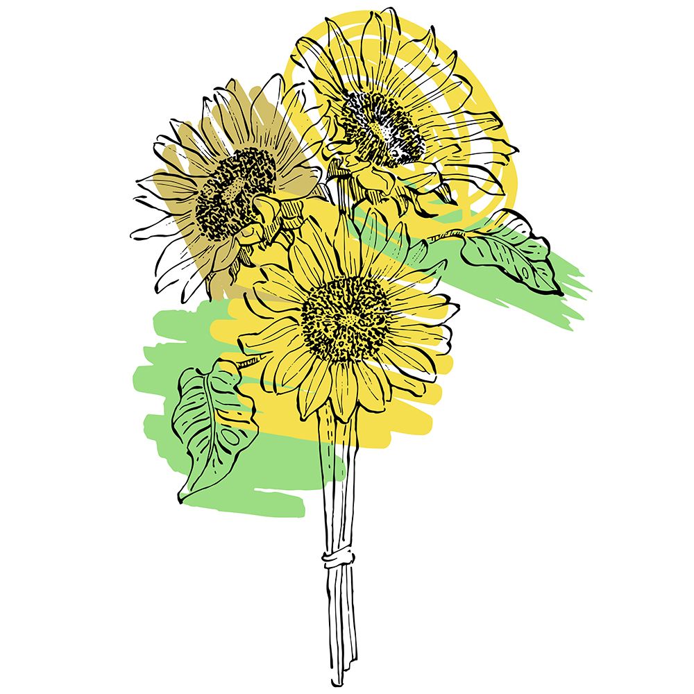 Sunflower minimal art art print by AcantStudio for $57.95 CAD