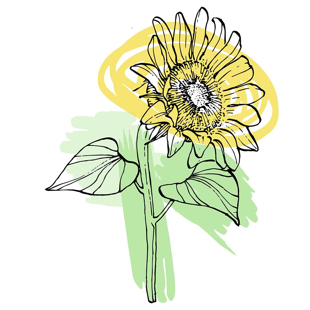 Sunflower minimal art art print by AcantStudio for $57.95 CAD
