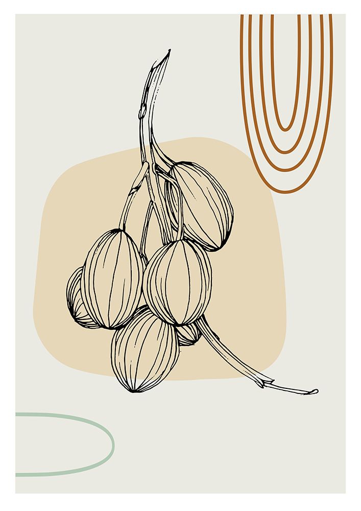 Olive art print by AcantStudio for $57.95 CAD