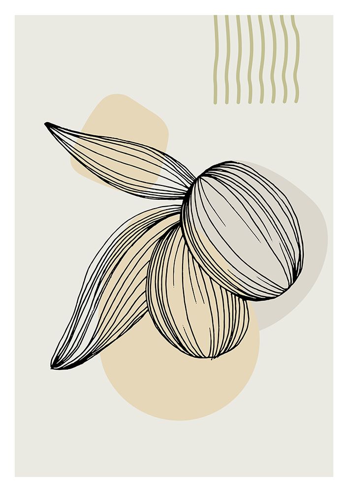 Olive art print by AcantStudio for $57.95 CAD