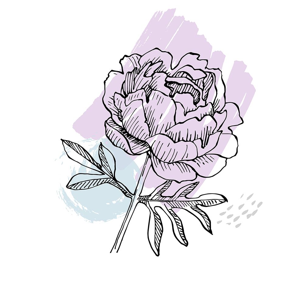Peonies flowers minimal art art print by AcantStudio for $57.95 CAD