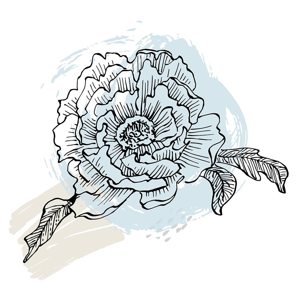 Peonies flowers minimal art art print by AcantStudio for $57.95 CAD