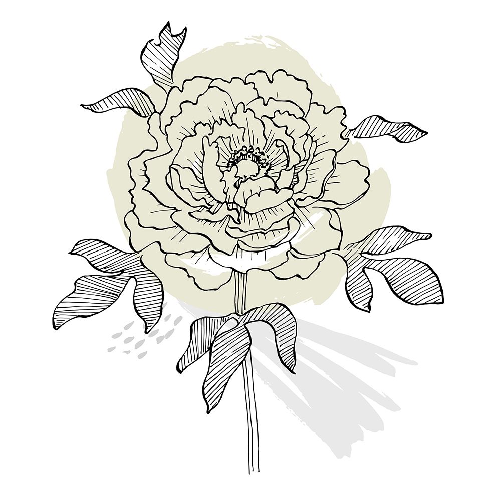 Peonies flowers minimal art art print by AcantStudio for $57.95 CAD