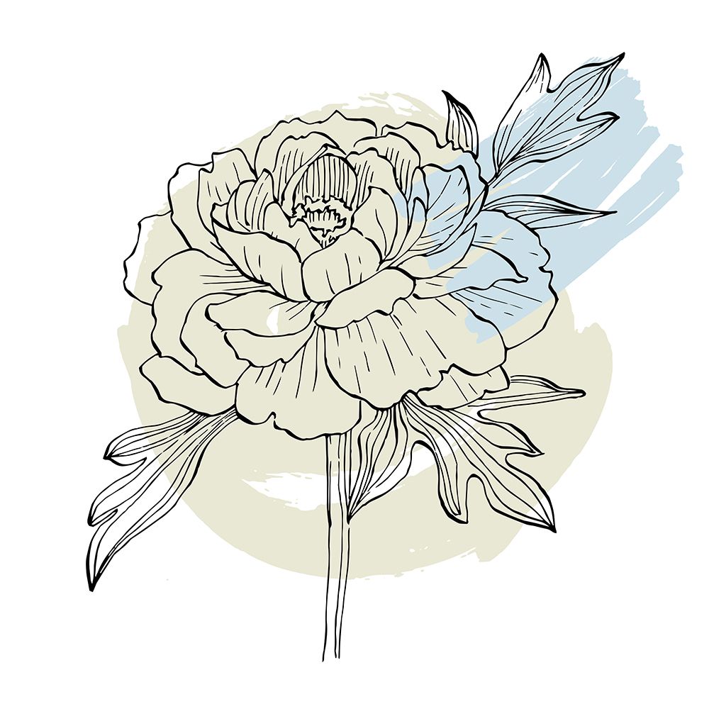 Peonies flowers minimal art art print by AcantStudio for $57.95 CAD