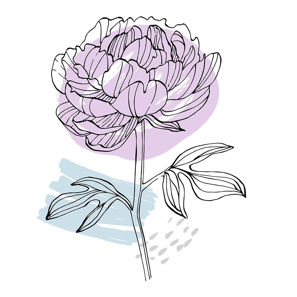 Peonies flowers minimal art art print by AcantStudio for $57.95 CAD