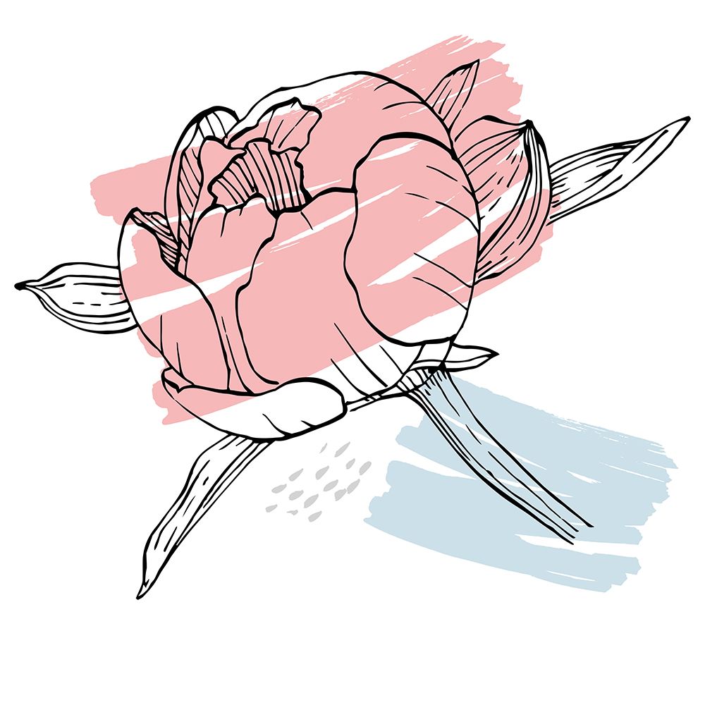 Peonies flowers minimal art art print by AcantStudio for $57.95 CAD