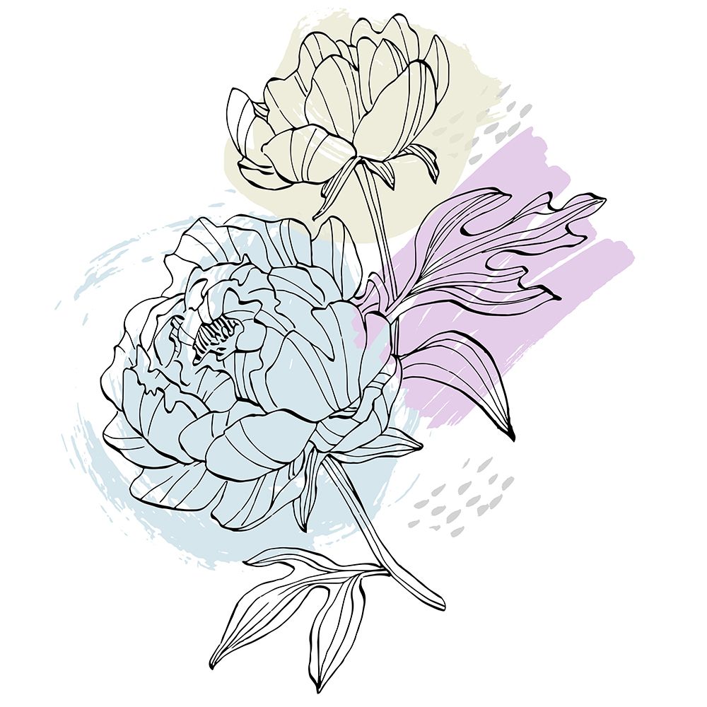 Peonies flowers minimal art art print by AcantStudio for $57.95 CAD