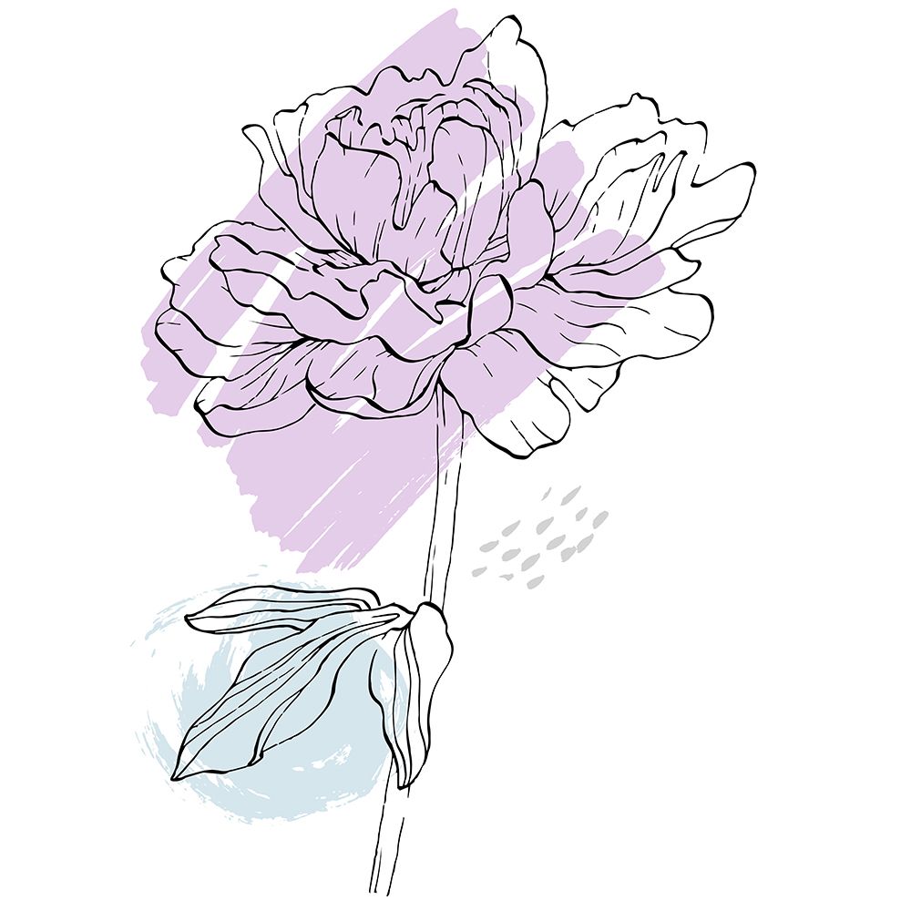 Peonies flowers minimal art art print by AcantStudio for $57.95 CAD