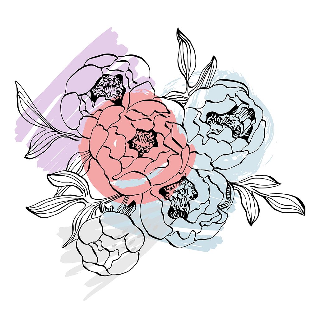 Peonies flowers minimal art art print by AcantStudio for $57.95 CAD