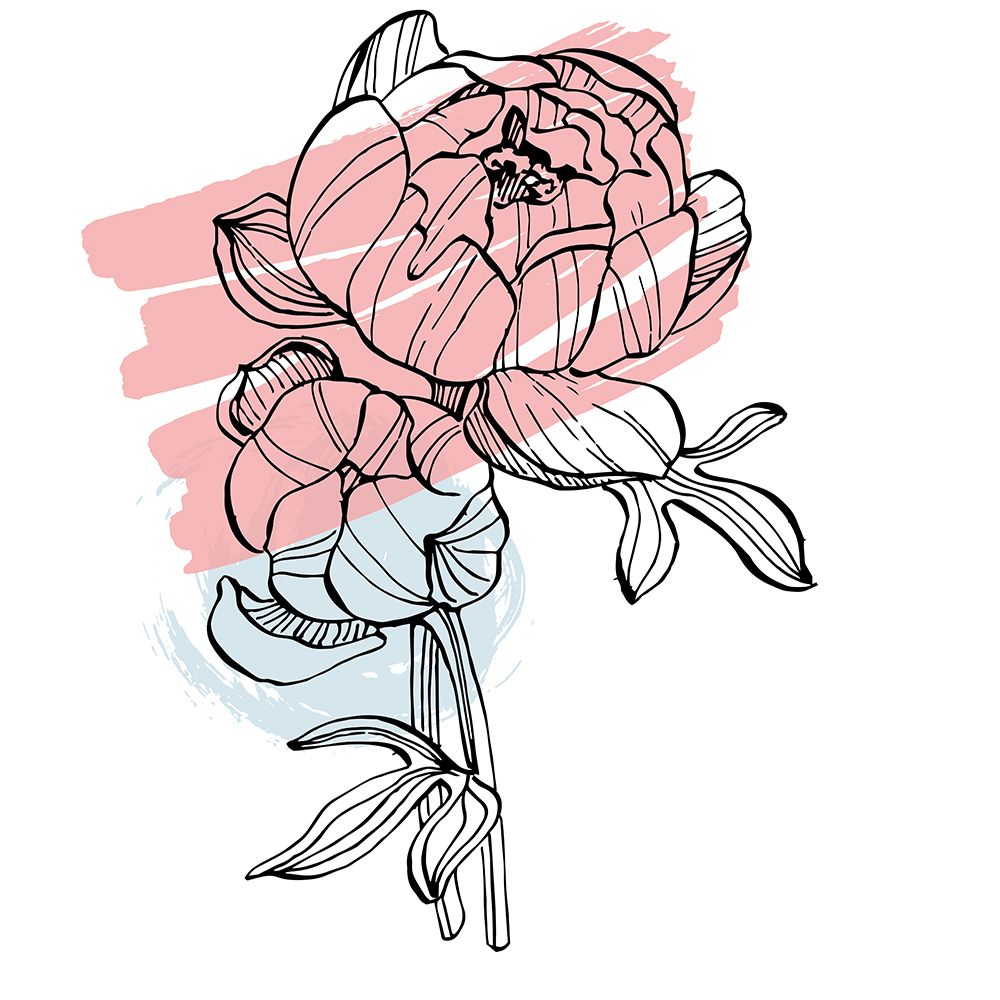 Peonies flowers minimal art art print by AcantStudio for $57.95 CAD