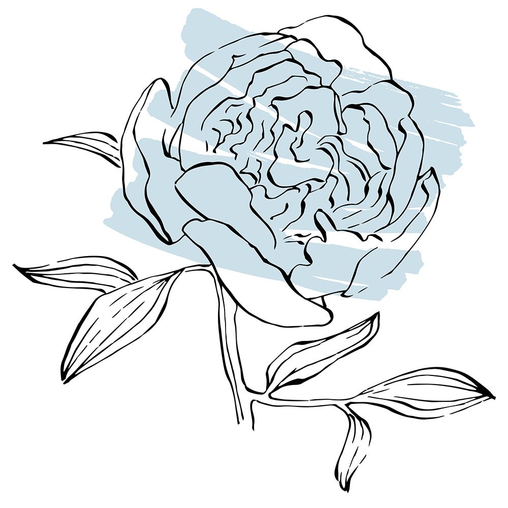 Peonies flowers minimal art art print by AcantStudio for $57.95 CAD