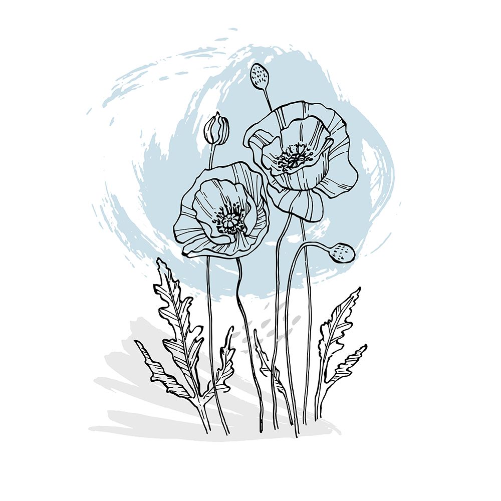 Poppies art print by AcantStudio for $57.95 CAD