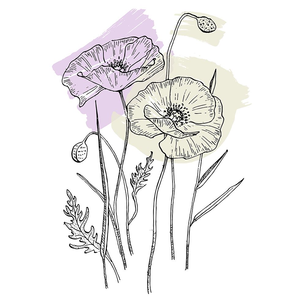 Poppies art print by AcantStudio for $57.95 CAD
