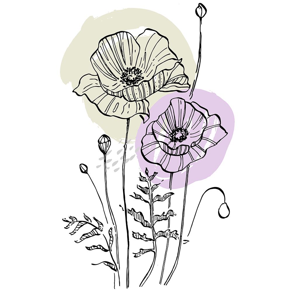Poppies art print by AcantStudio for $57.95 CAD