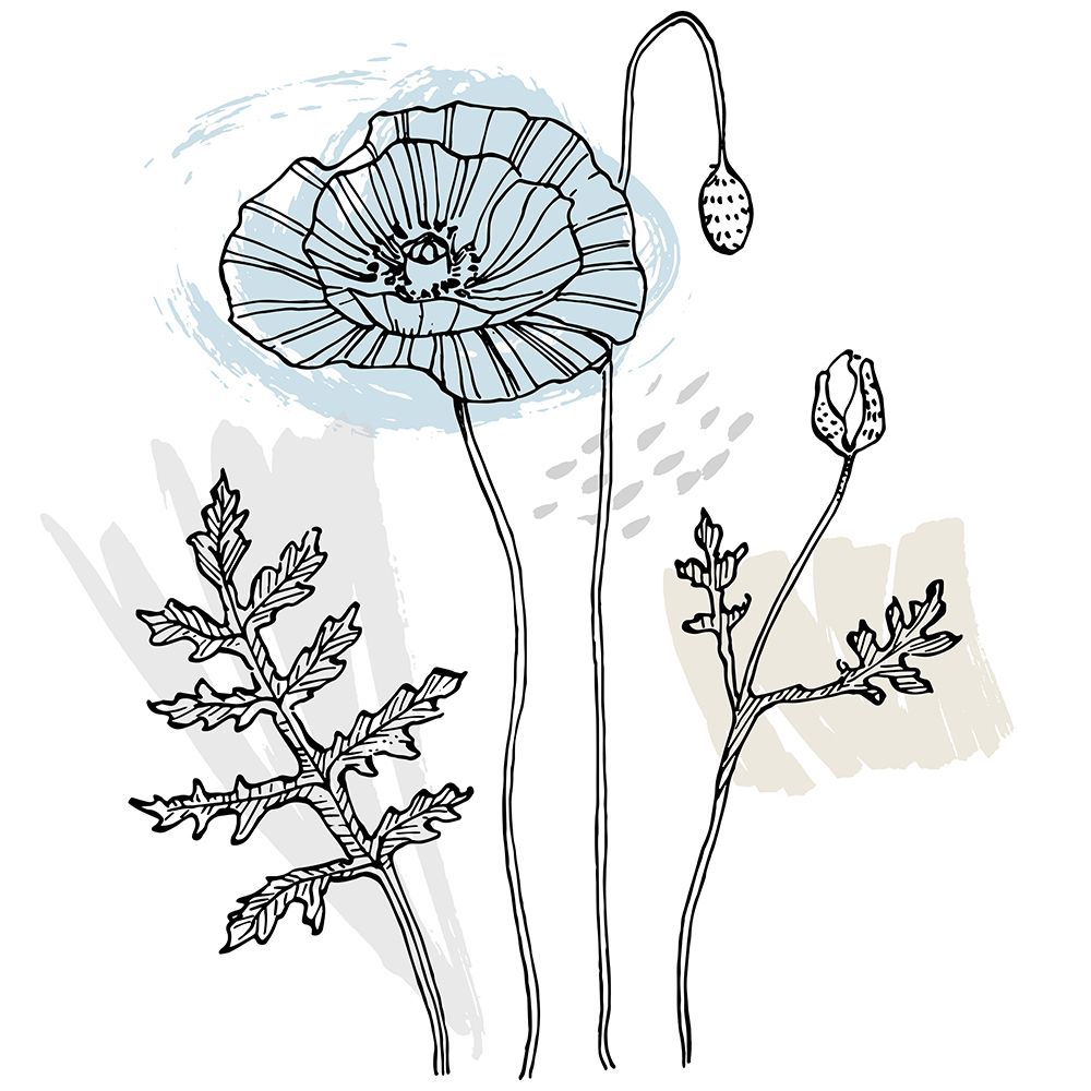 Poppies art print by AcantStudio for $57.95 CAD