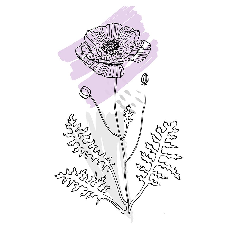 Poppies art print by AcantStudio for $57.95 CAD