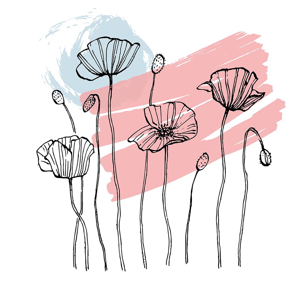 Poppies art print by AcantStudio for $57.95 CAD