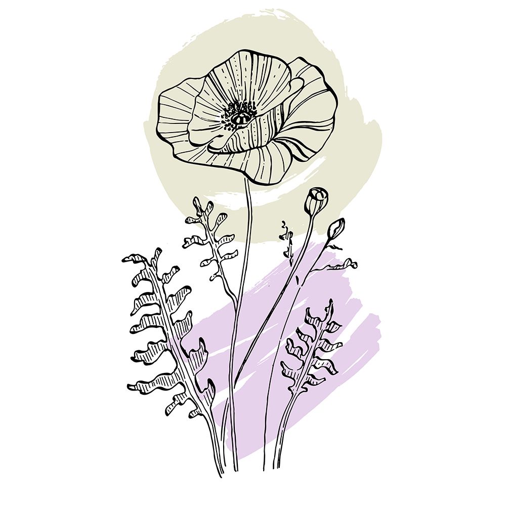 Poppies art print by AcantStudio for $57.95 CAD