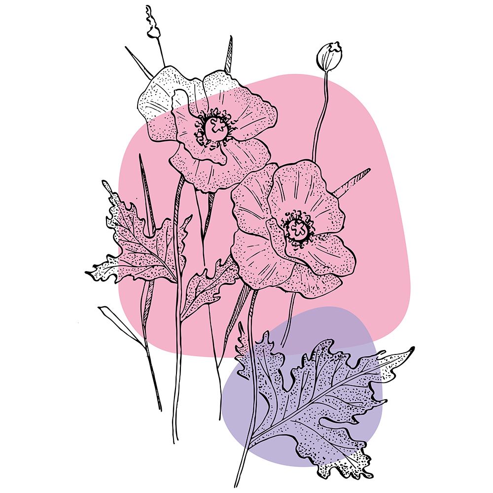 Poppies art print by AcantStudio for $57.95 CAD