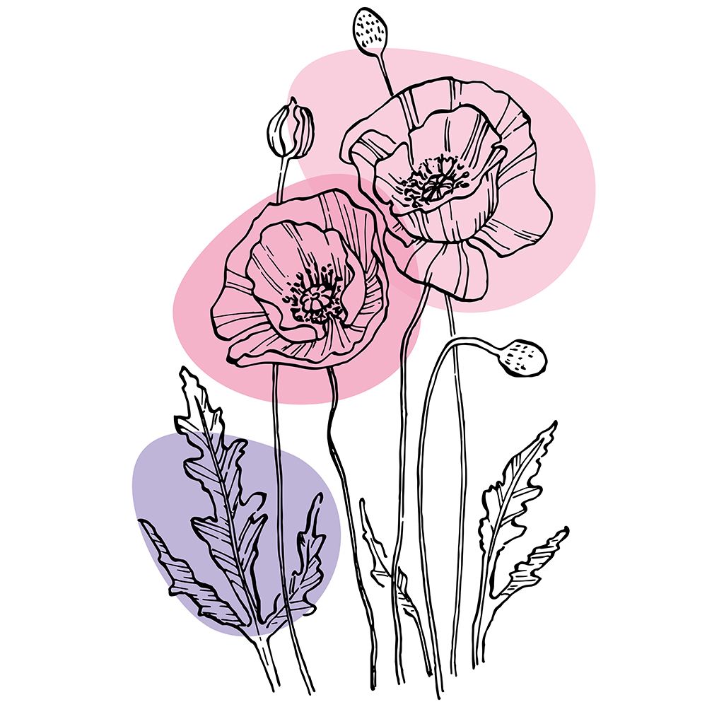 Poppies art print by AcantStudio for $57.95 CAD