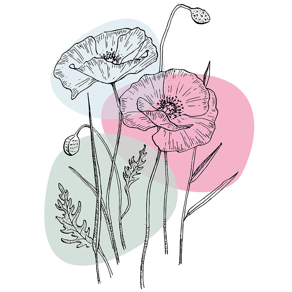 Poppies art print by AcantStudio for $57.95 CAD