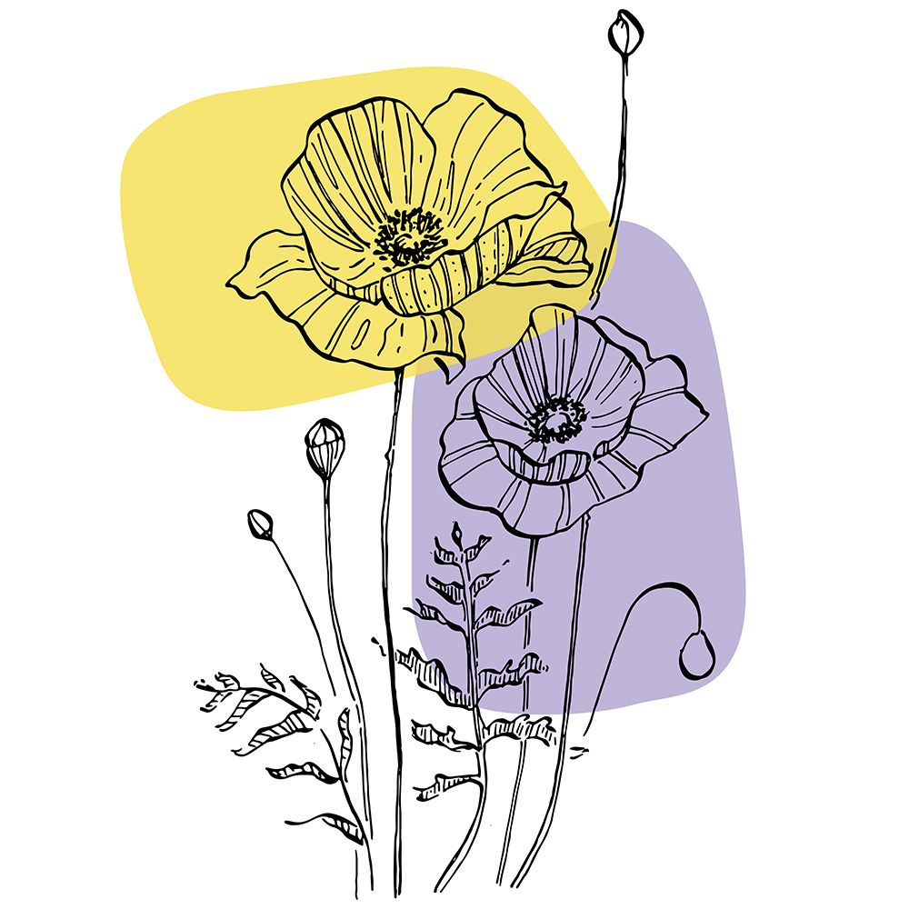Poppies art print by AcantStudio for $57.95 CAD