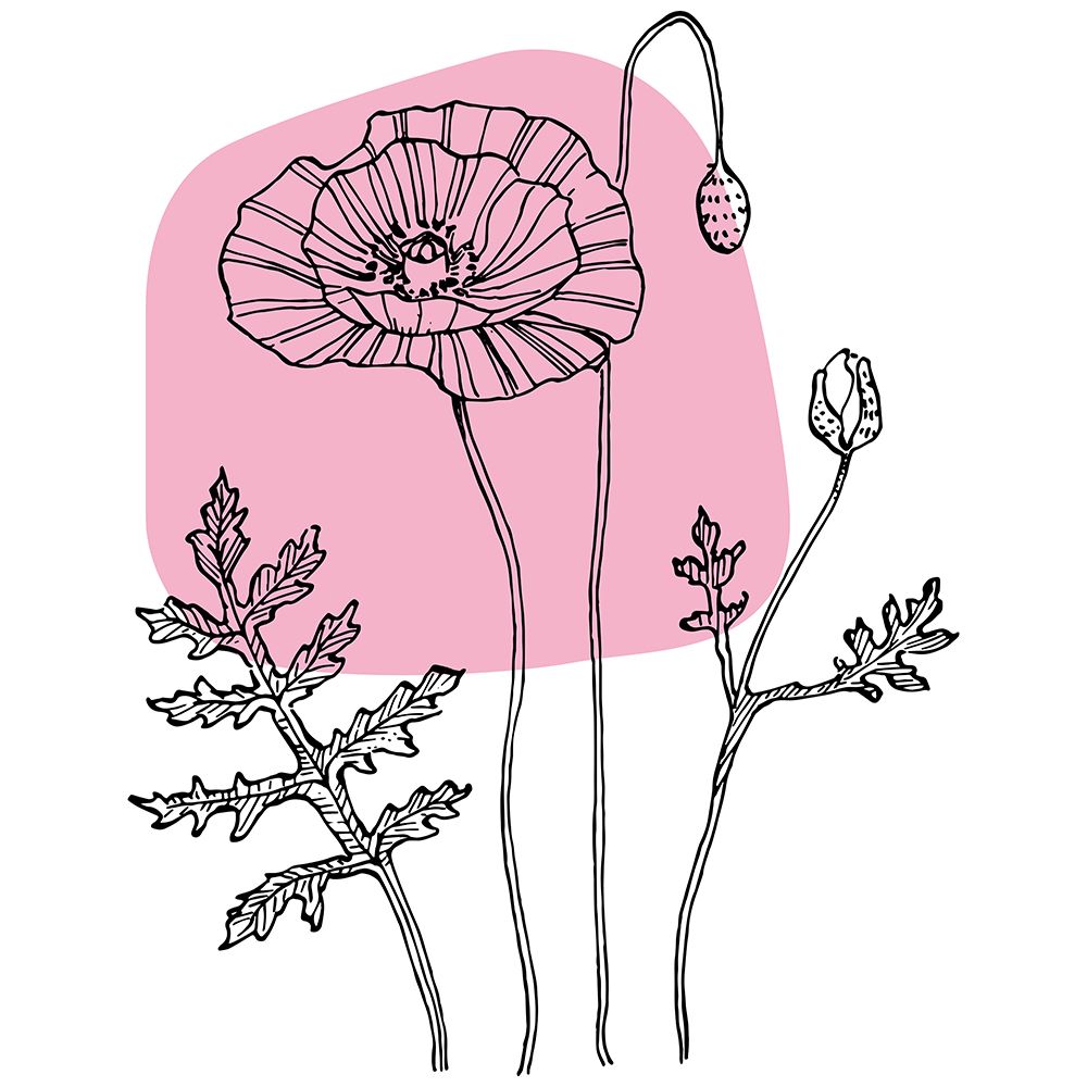 Poppies art print by AcantStudio for $57.95 CAD