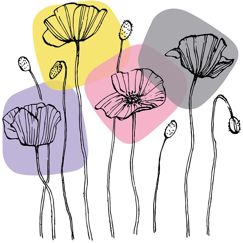 Poppies art print by AcantStudio for $57.95 CAD