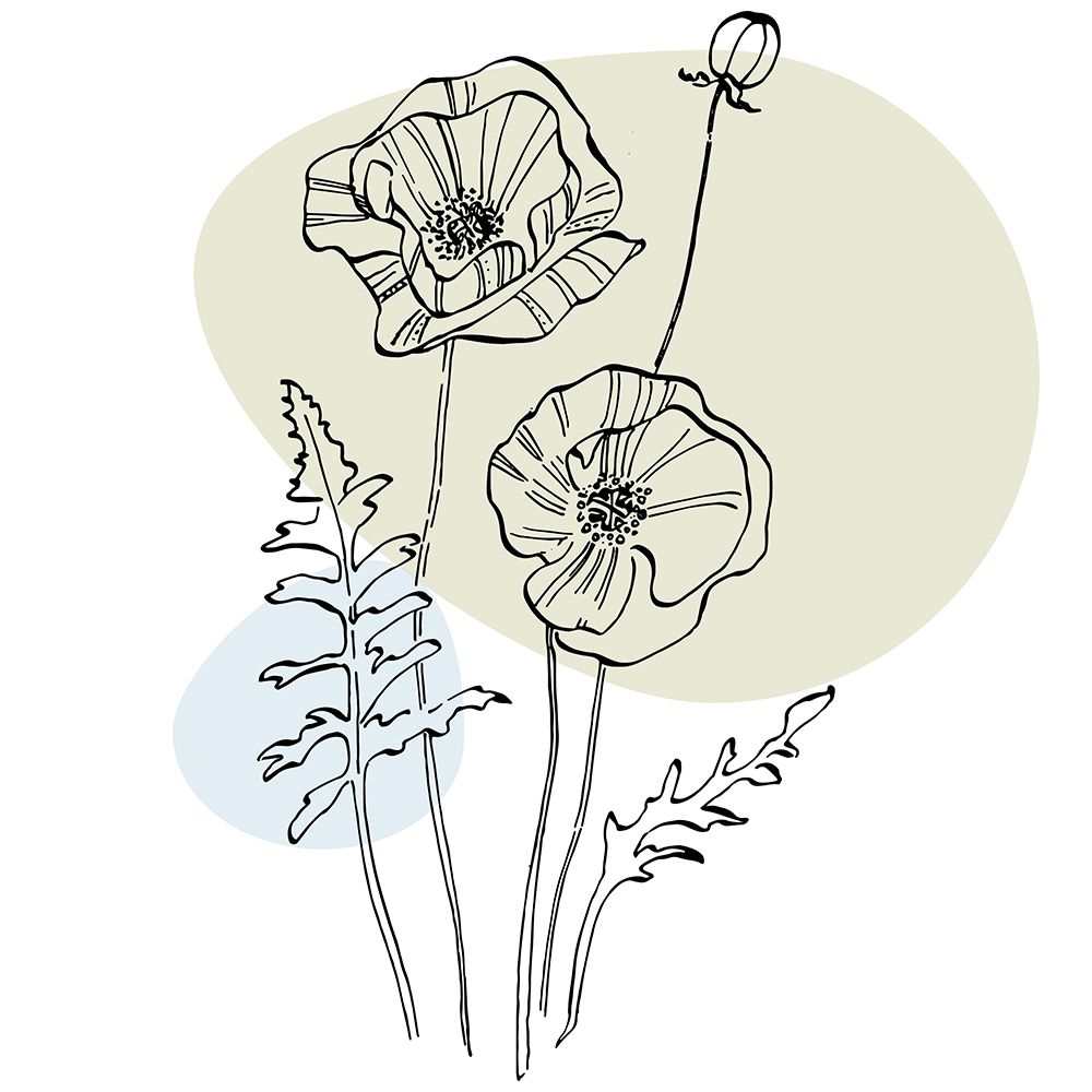 Poppies art print by AcantStudio for $57.95 CAD