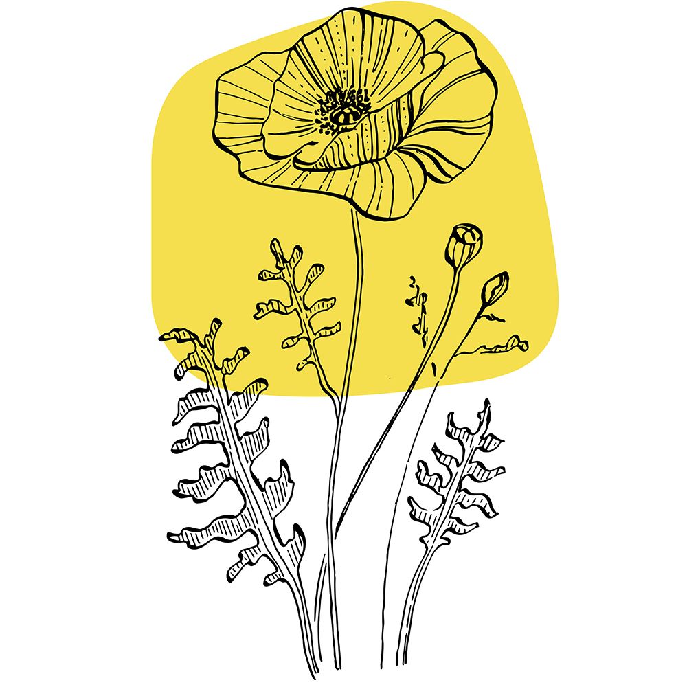 Poppies art print by AcantStudio for $57.95 CAD