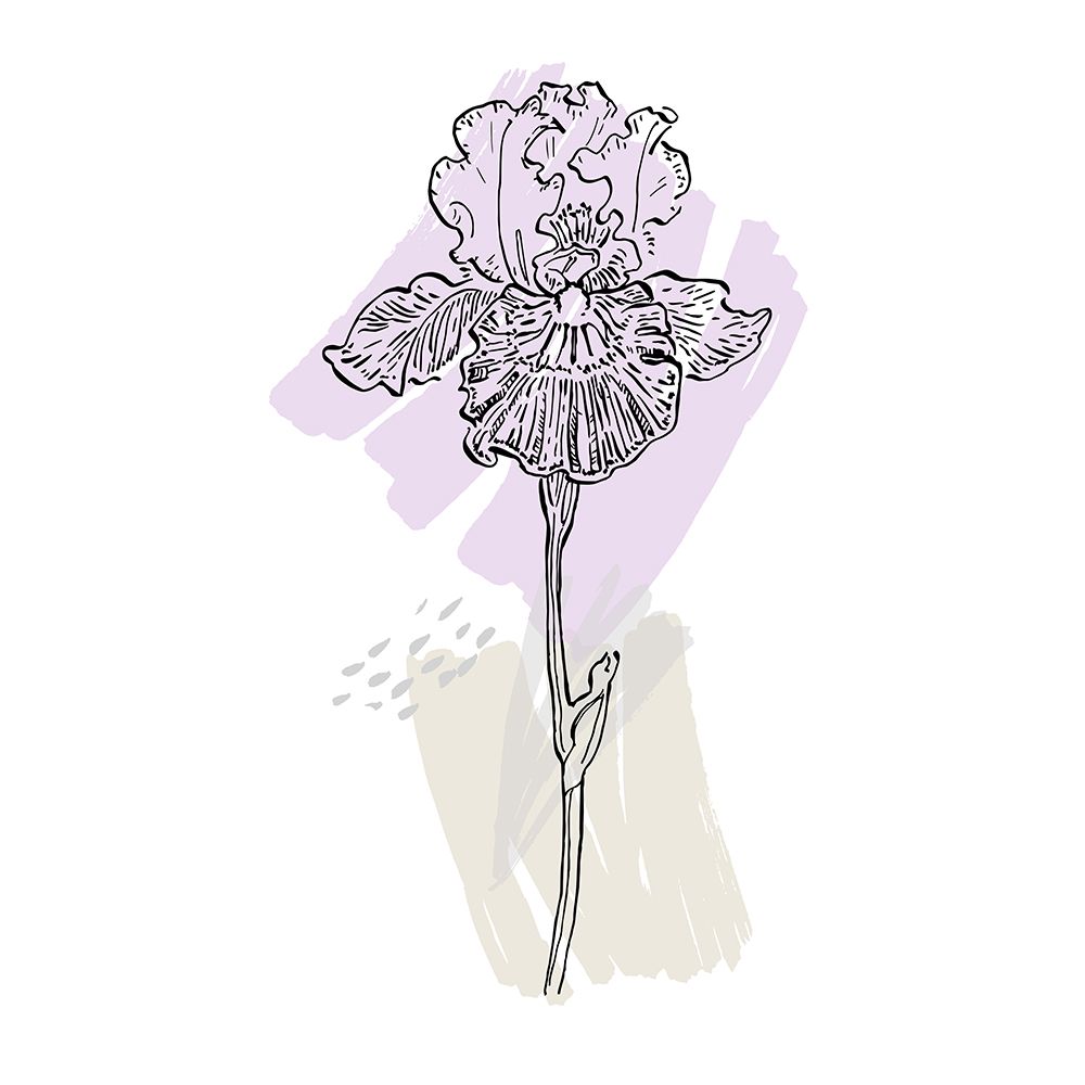 Irises art print by AcantStudio for $57.95 CAD