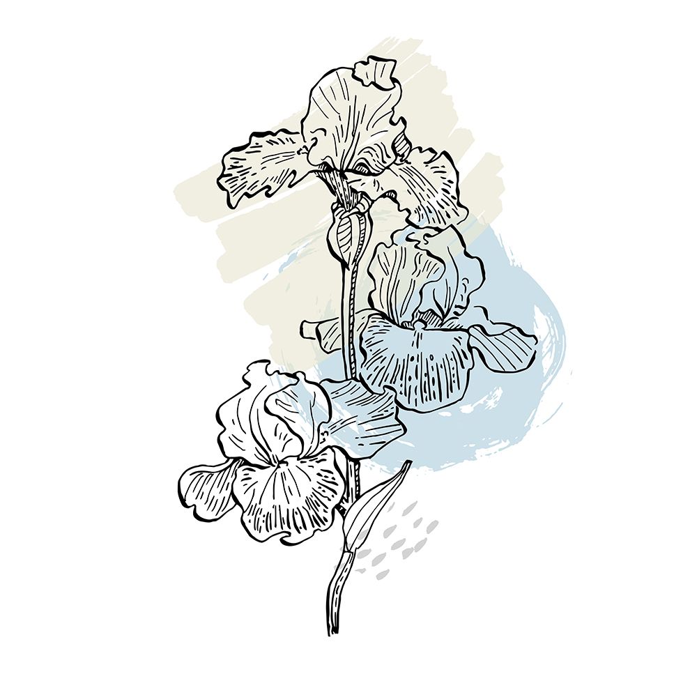 Irises art print by AcantStudio for $57.95 CAD