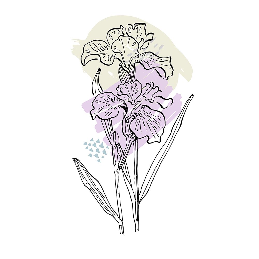 Irises art print by AcantStudio for $57.95 CAD